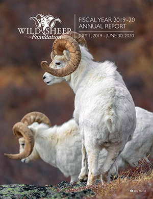 WSF Annual Report FY19-20 Cover by Jerry Herrold